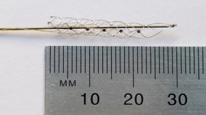 The 'bionic spine" electrode array