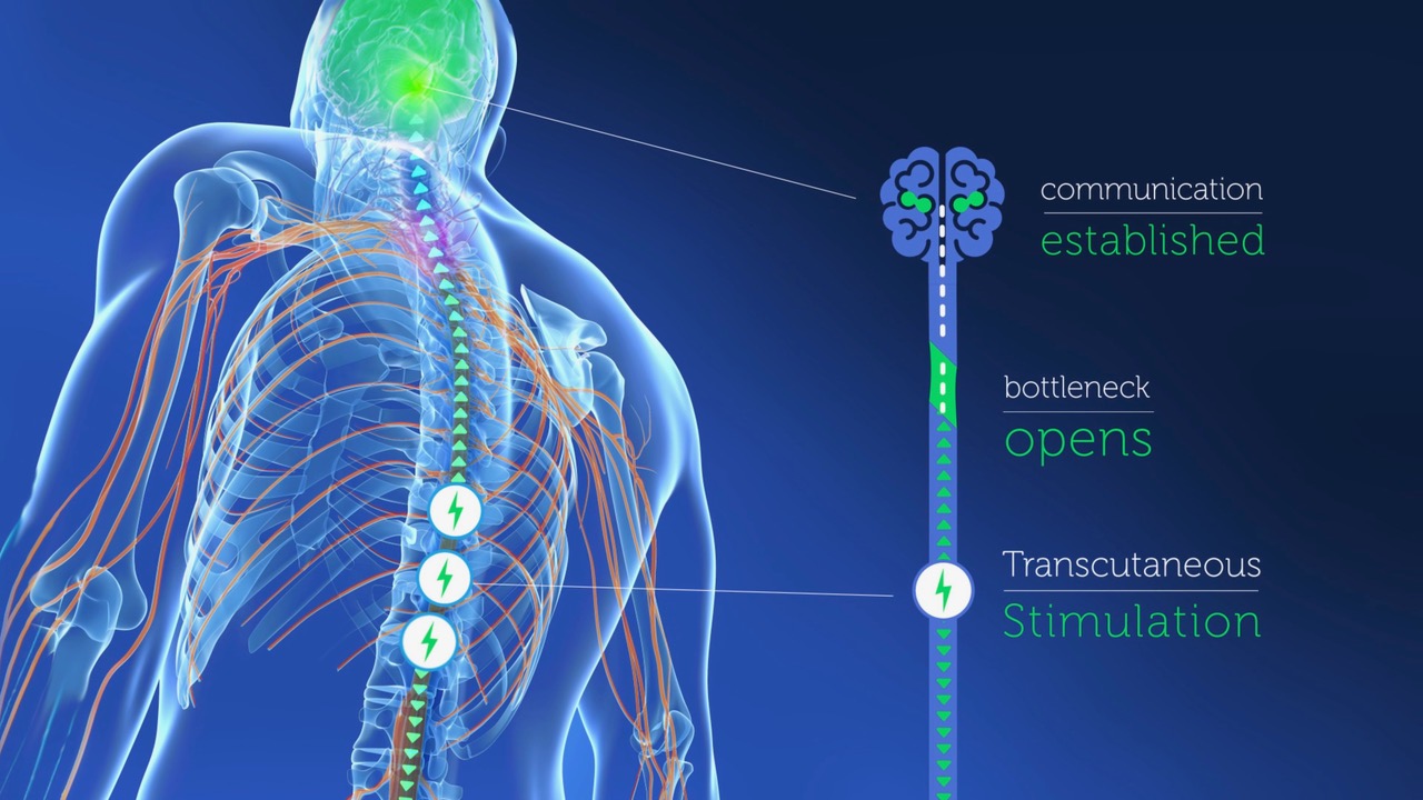 SPINAL Keyframe 04