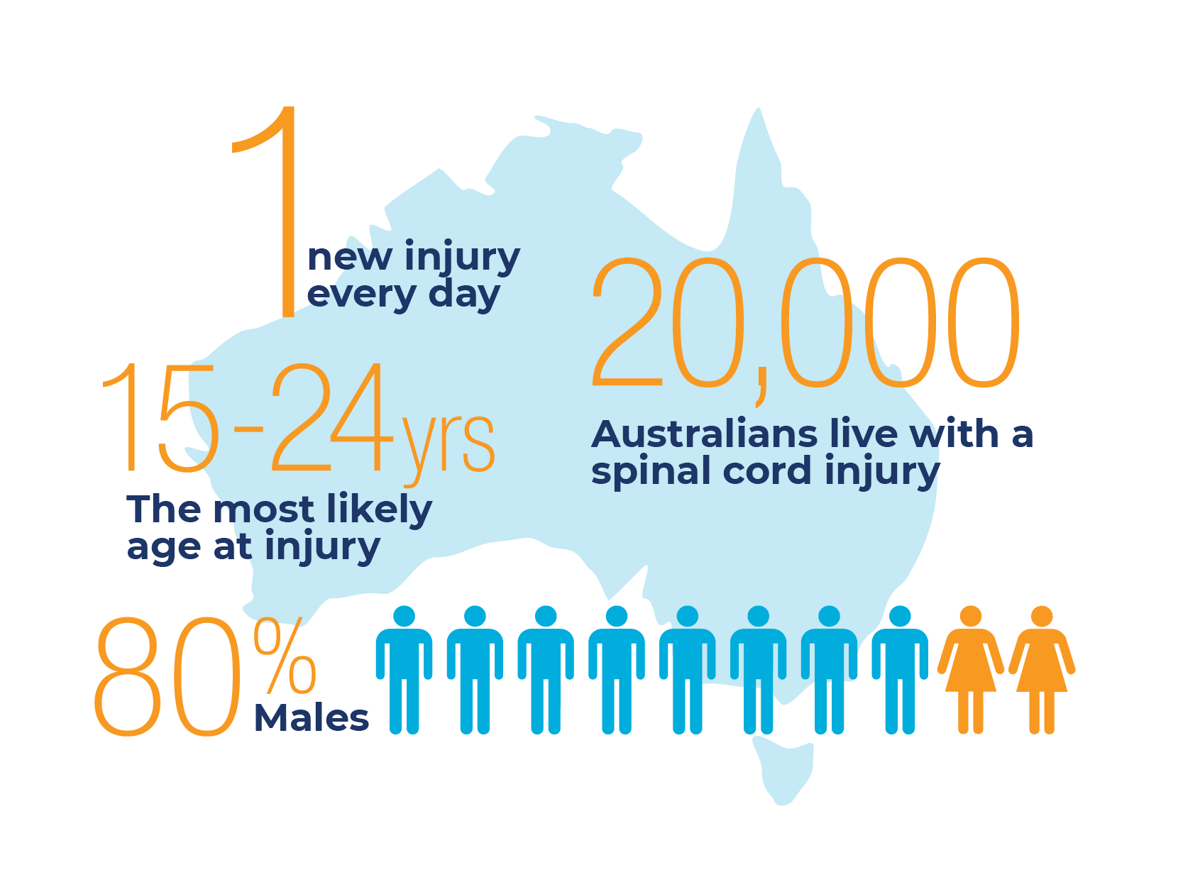 Spinal Cord Injury Facts SpinalCure Australia spinal-cord-injury-facts-spinalcure-australia